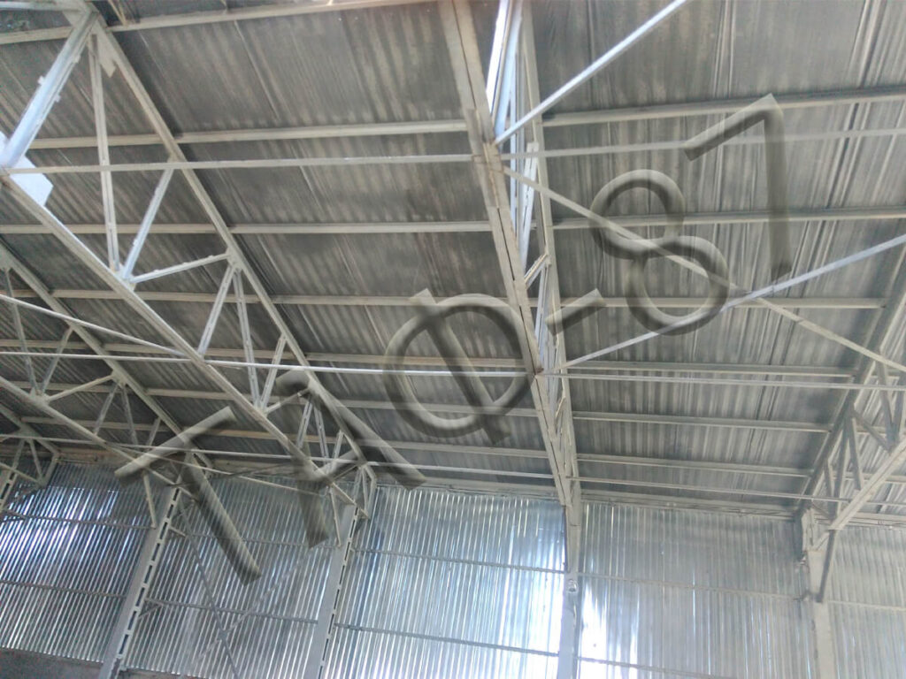Ангар прямостінний