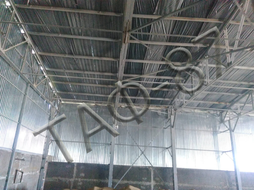 Ангар прямостінний